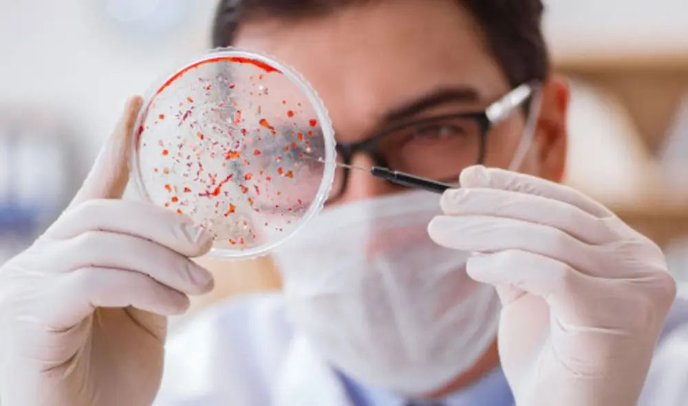 La OMS señala que es urgente realizar más estudios sobre las mutaciones de la variante Lambda. Foto referencial: Freepik