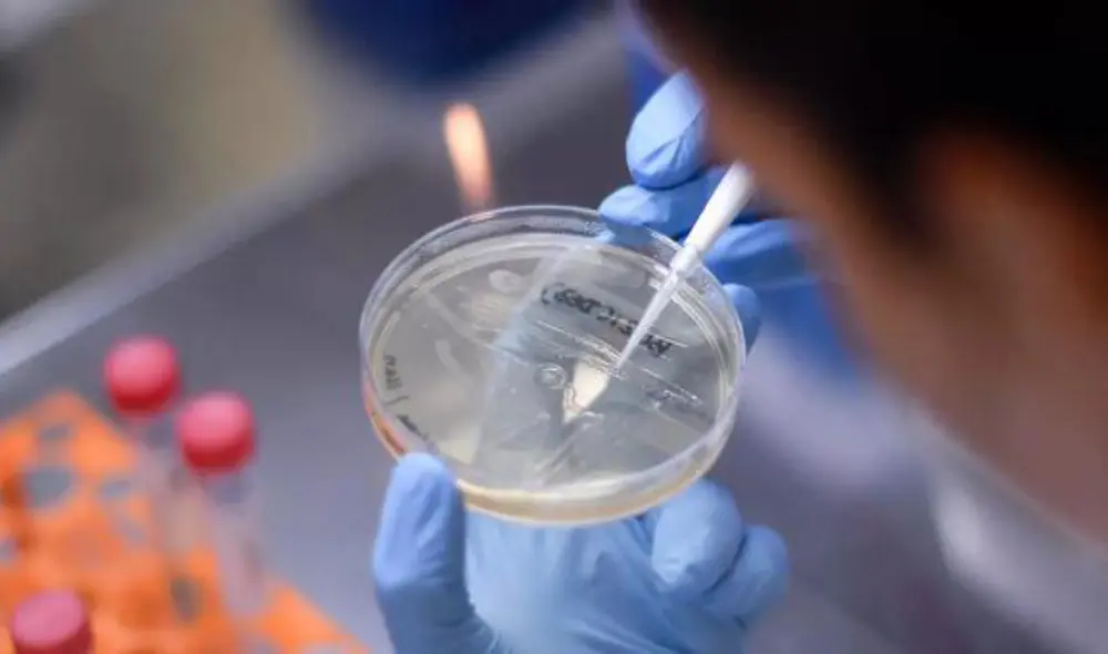 Según un estudio inglés, la variante Delta del coronavirus es 60% más contagiosa que la variante Alfa. Foto: AFP Según un estudio inglés, la variante Delta del coronavirus es 60% más contagiosa que la variante Alfa. Foto: AFP