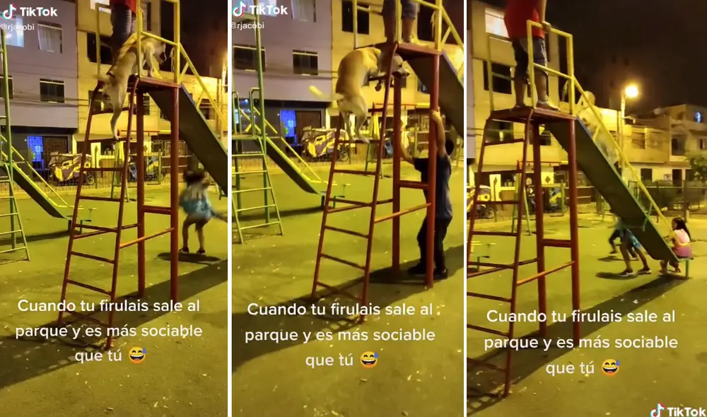 TikTok viral: lleva a su perro al parque y can se divierte jugando en ...