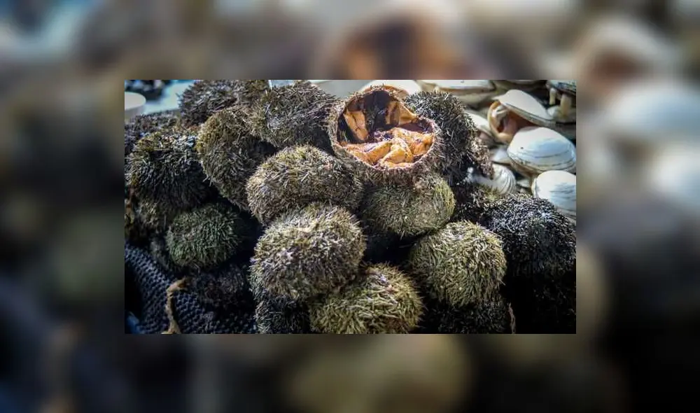 Actividades concluirán mañana. Foto: difusión