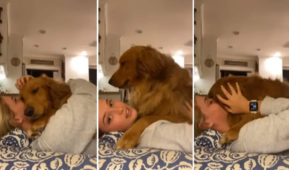 La reacción del can se hizo viral en redes sociales. Foto: captura de YouTube