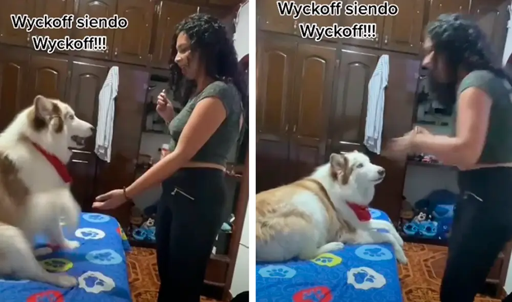 El video sorprendió a los usuarios. Foto: captura de TikTok