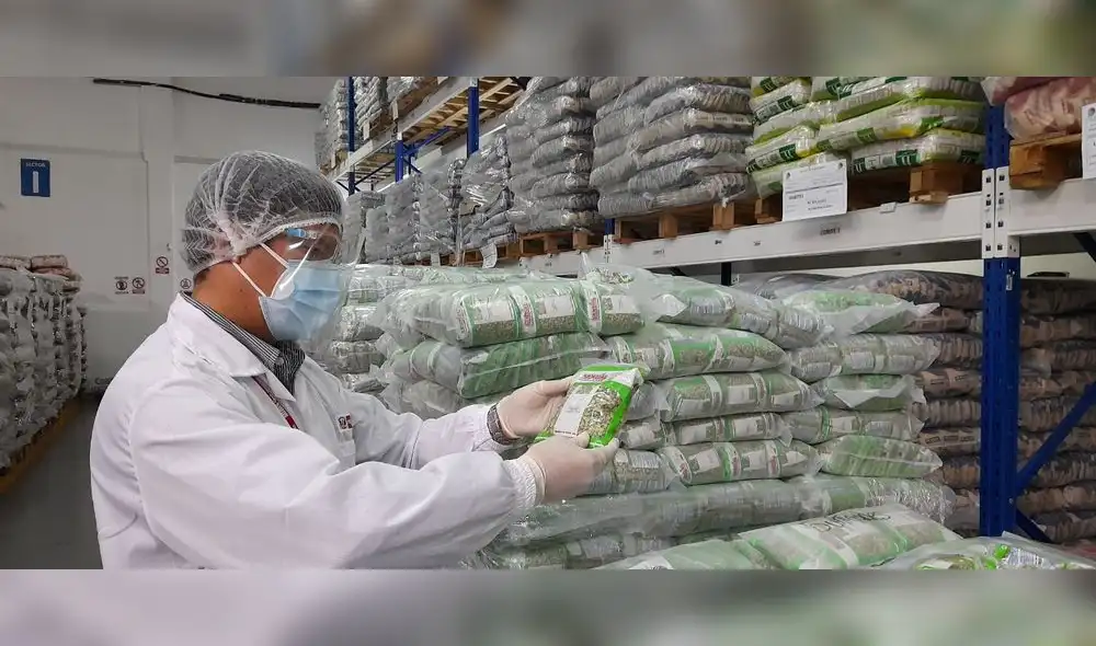 El programa social supervisó los cinco almacenes de los proveedores. Foto: Qali Warma El programa social supervisó los cinco almacenes de los proveedores. Foto: Qali Warma