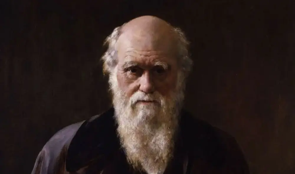 Charles Darwin escribió 'El origen de las especies', que fundamentó su teoría de la evolución. Imagen: difusión