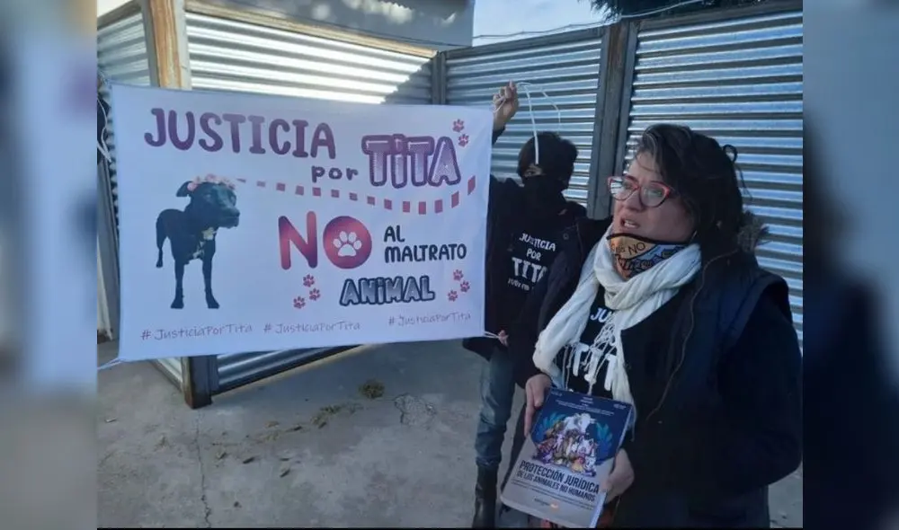 El juez se basó en el caso de Sandra, una orangután que en 2015 fue reconocida como un “ser sintiente”. Foto: captura de Twitter El juez se basó en el caso de Sandra, una orangután que en 2015 fue reconocida como un “ser sintiente”. Foto: captura de Twitter