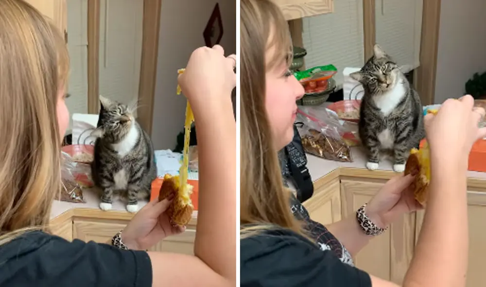 Las imágenes se volvieron tendencia en varias plataformas. Foto: captura de YouTube