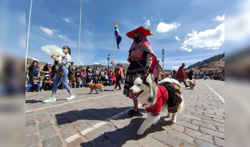 Propietarios de los canes usaron ponchos para sumarse a la actividad. Foto: MPC Propietarios de los canes usaron ponchos para sumarse a la actividad. Foto: MPC