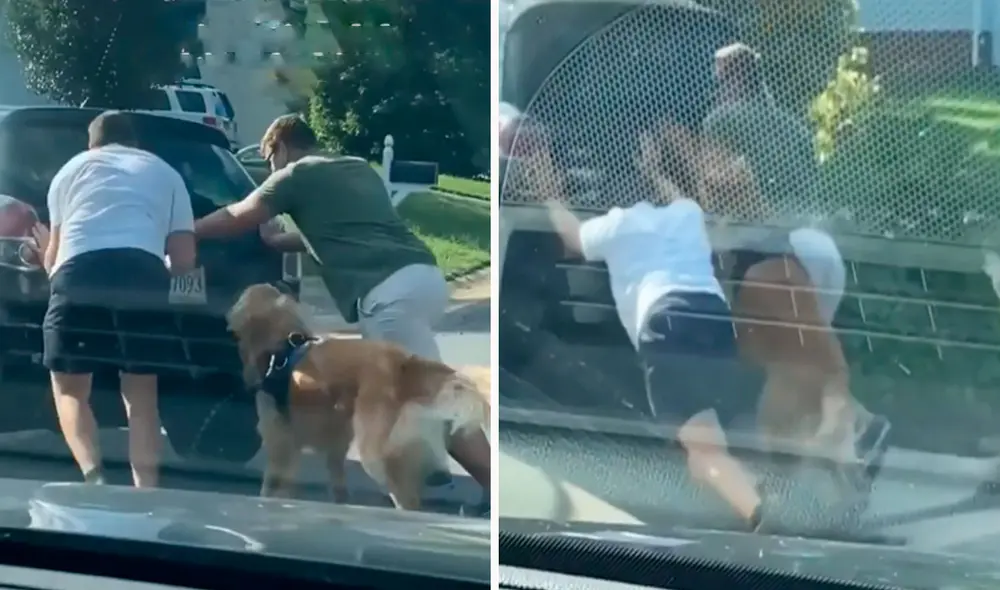 Una joven fue testigo de la curiosa acción de un perrito al bajarse del auto de su dueño para ‘apoyarlo’ luego que presentó problemas antes de llegar a su casa. Foto: captura de Facebook