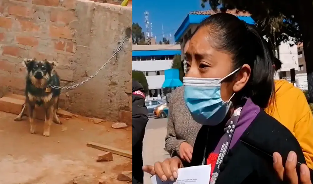 Hecho se registra en el jirón Topacio del sector Enace - La Capilla en Juliaca. Foto: HBA Noticias