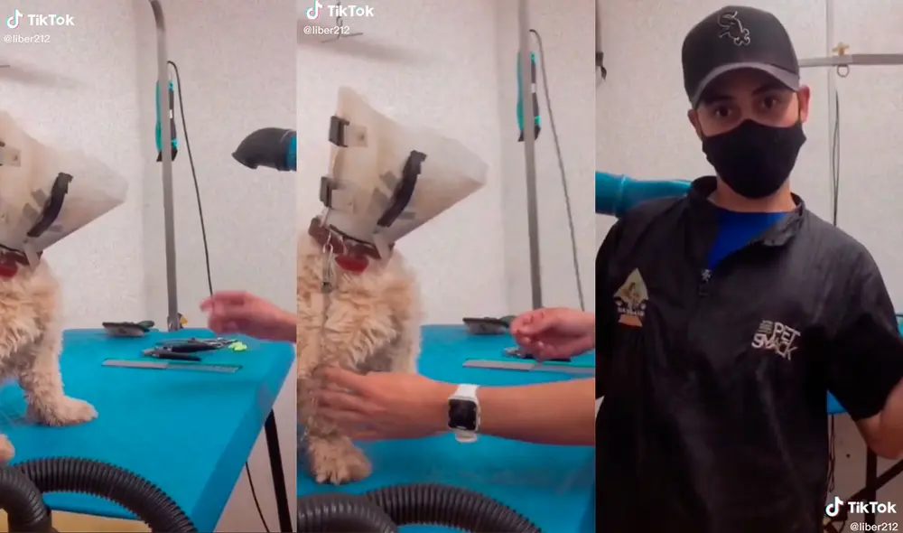 El hombre no pudo evitar espantarse ante el repentino ladrido del can. Foto: captura de TikTok