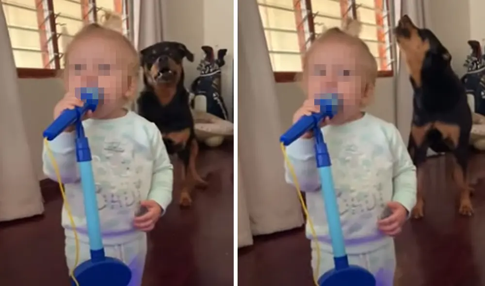 La tierna escena de esta pequeña logró cautivar a miles en las redes sociales. Foto: captura de YouTube