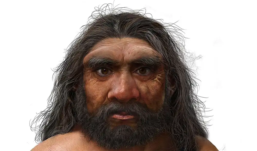 Reconstrucción del aspecto del hombre dragón (Homo longi). Foto: Chuang Zhao