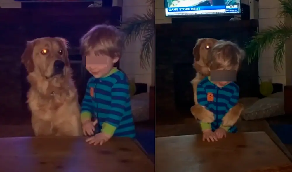El video enterneció a miles de usuarios. Foto: captura de TikTok