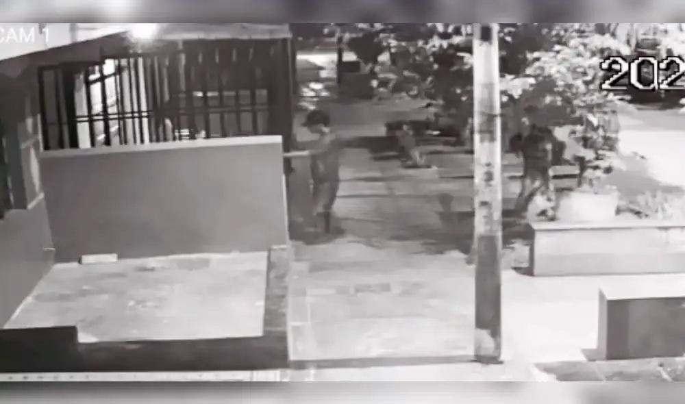 Sujetos robaron artefactos eléctricos, equipos de cómputo y dinero en efectivo. Foto: captura video