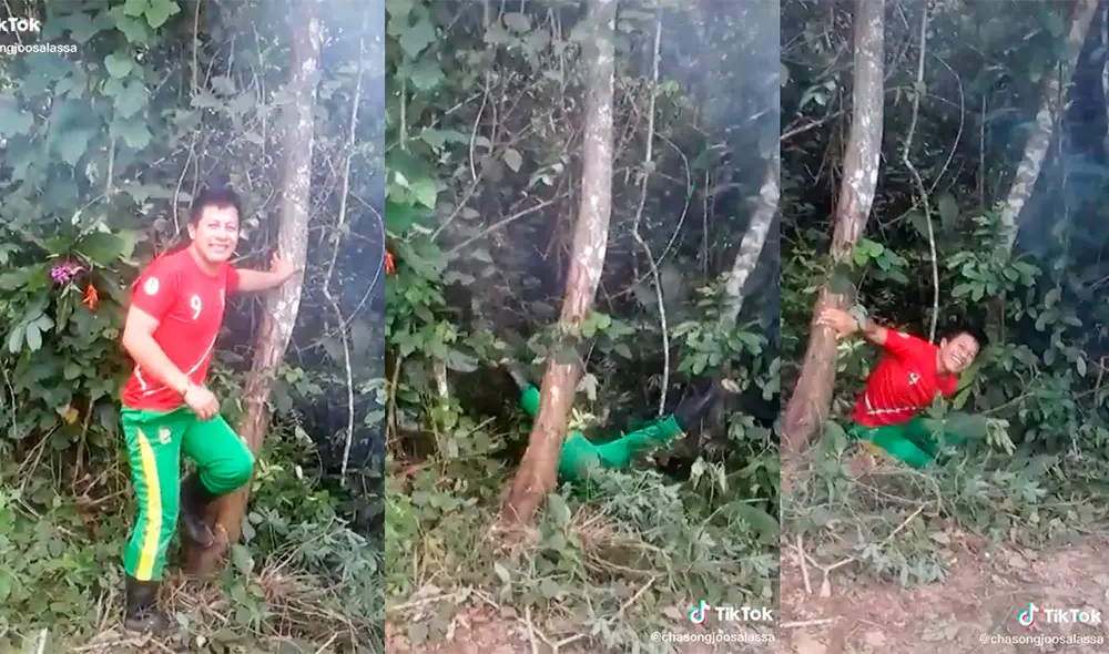 El sujeto no pudo aferrarse al árbol y se cayó de espaldas. Foto: captura de TikTok El sujeto no pudo aferrarse al árbol y se cayó de espaldas. Foto: captura de TikTok