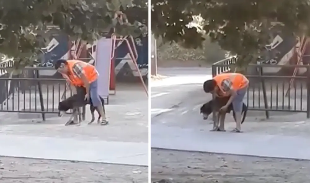 Las imágenes generaron ternura entre una gran cantidad de usuarios. Foto: captura de Facebook Las imágenes generaron ternura entre una gran cantidad de usuarios. Foto: captura de Facebook