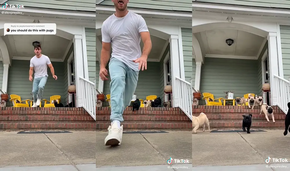 El hombre desarrolló una hilarante actuación junto a sus mascotas. Foto: captura de TikTok El hombre desarrolló una hilarante actuación junto a sus mascotas. Foto: captura de TikTok
