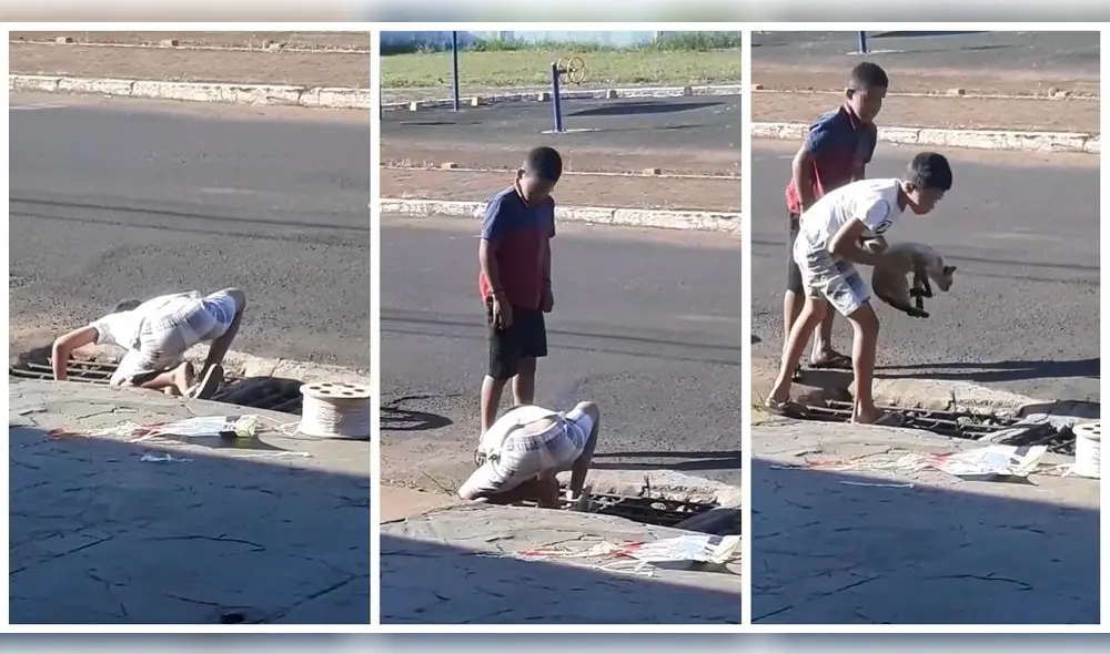 Aunque otro niño se acerca para ayudarlo, es el primero quien logra, por sus propios medios, rescatar al animal. Foto: captura de Instagram