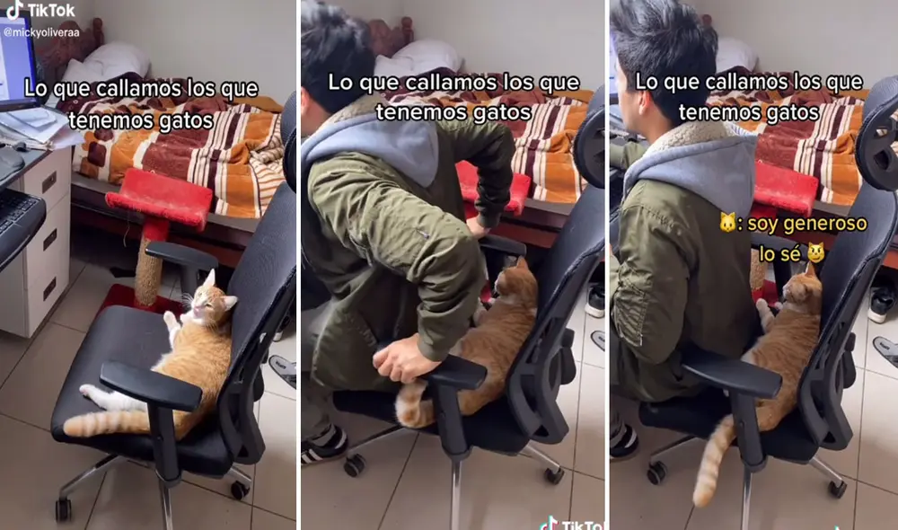 Miles de usuarios no han parado de reír con estas imágenes. Foto: captura de TikTok