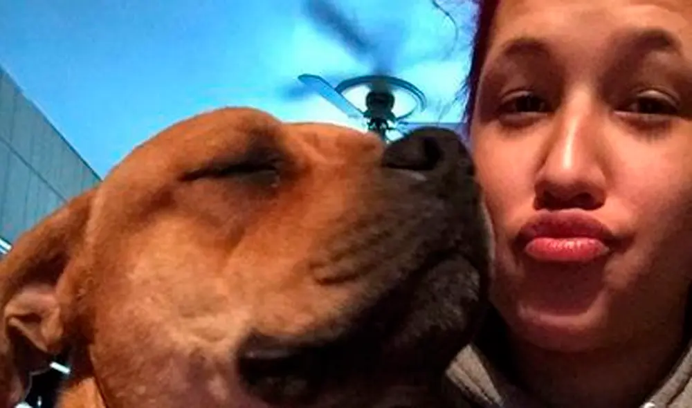 Tras dos años de intensa búsqueda, Aisha logró encontrar a su perro en un refugio de animales. Foto: captura de YouTube/Aisha Nieves