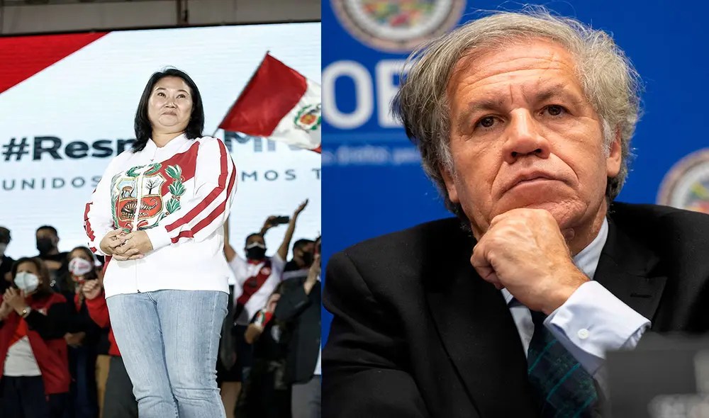 La nueva medida de Keiko Fujimori requiere la participación de la Organización de los Estados Americanos. Foto: composición de LR/EFE/AFP La nueva medida de Keiko Fujimori requiere la participación de la Organización de los Estados Americanos. Foto: composición de LR/EFE/AFP