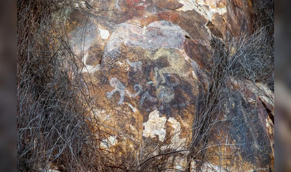 Área también será protegida para preservar ilustraciones. Foto: Municipalidad Provincial de Sánchez Carrión