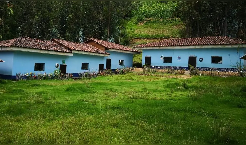 Profesores piden que se cumplan con condiciones para regreso a la presencialidad. Foto: La República Profesores piden que se cumplan con condiciones para regreso a la presencialidad. Foto: La República