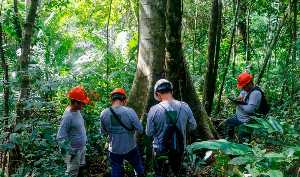 Investigadores brindaron un informe de acuerdo a las supervisiones de campo. Foto: difusión Investigadores brindaron un informe de acuerdo a las supervisiones de campo. Foto: difusión