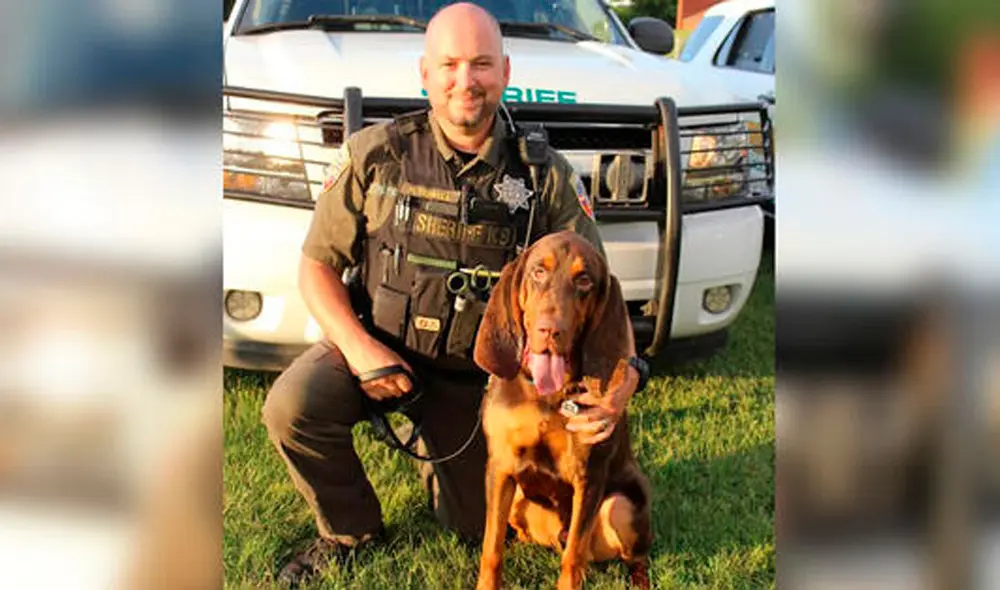 El perro sabueso Fred junto a Richard Tidwell, oficial de la brigada K9. Foto: Noticias Telemundo
