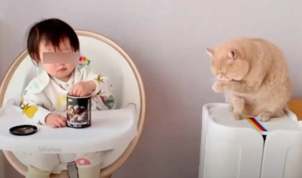 El video viral ha sido compartido en la página Viral Paws. Foto: captura de Facebook