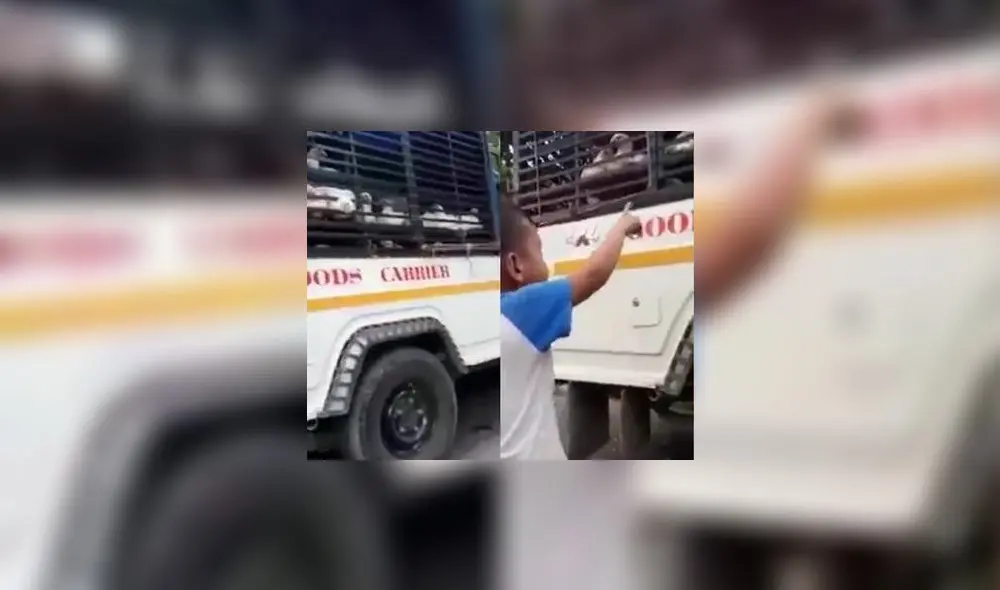 La conclusión a la que llegaron los usuarios de Facebook es que es algo muy triste que un niño descubra que sus mascotas están destinadas para otro fin. Foto: captura de Facebook