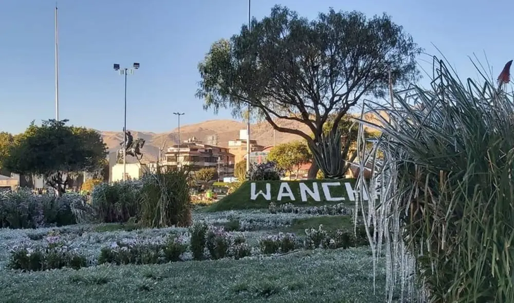 El sábado, parques y jardines amanecieron bajo un manto de escarcha y hielo. Foto: Cortesía