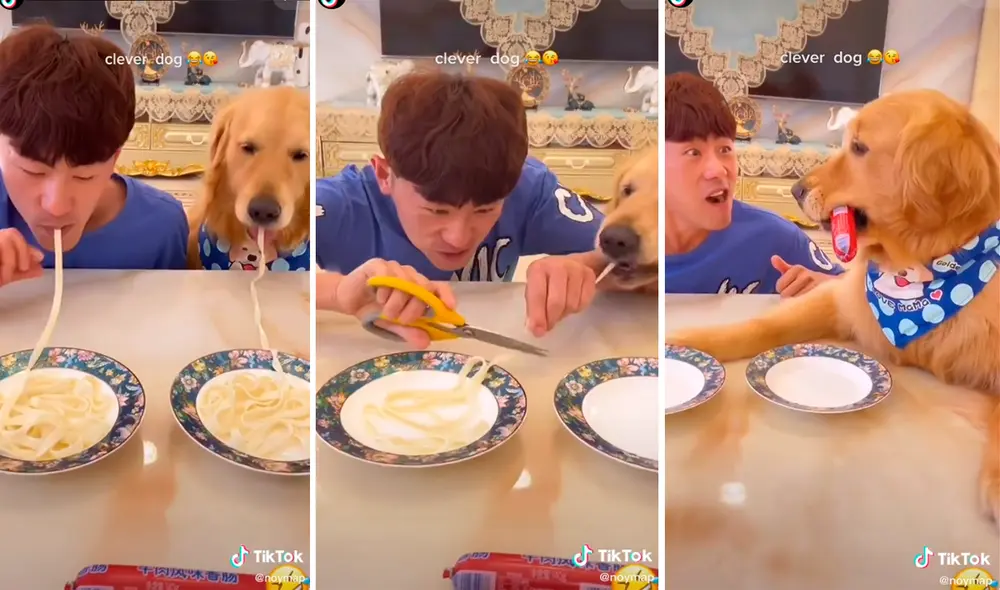 El tierno perrito no tuvo problemas en devorar la pasta en cuestión de segundos. Foto: captura de TikTok