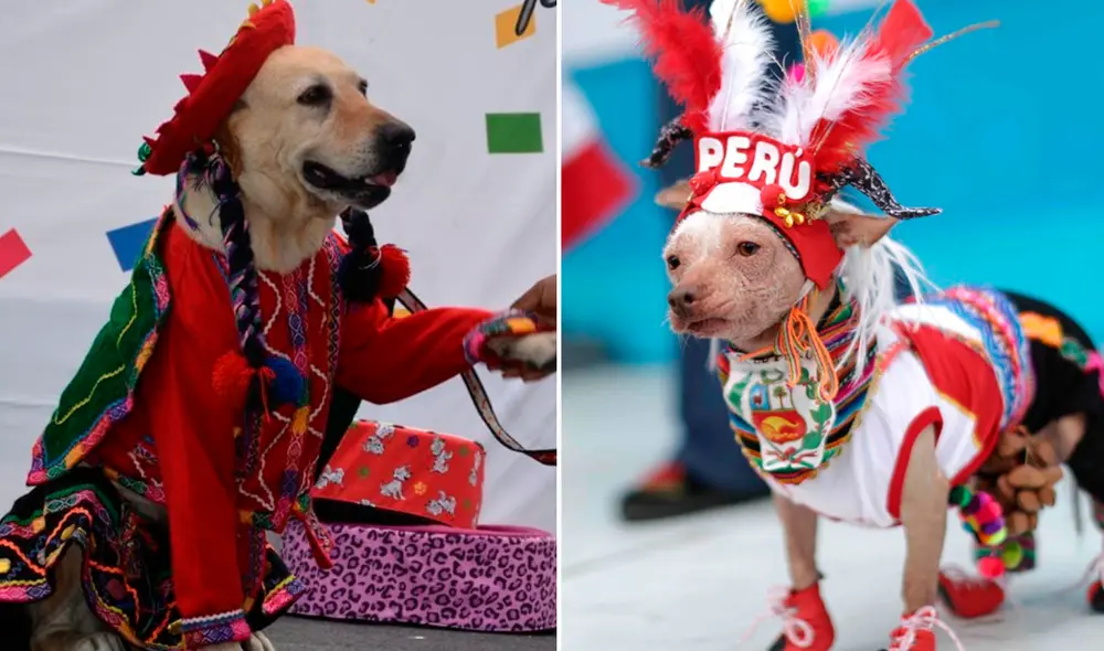 Concurso se realizará el próximo 24 de julio en el Paseo de las Aguas desde las 9.00 a. m. Foto: MPT Concurso se realizará el próximo 24 de julio en el Paseo de las Aguas desde las 9.00 a. m. Foto: MPT