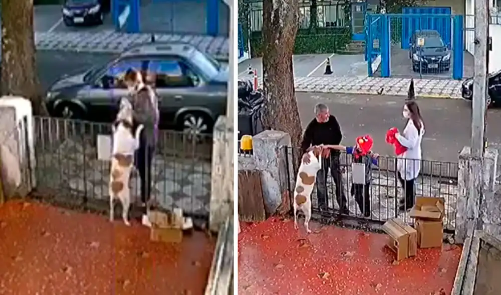 Una familia se enteró que un joven se había apoderado de la ropa a un perrito, por ello, quisieron ayudarlo con un obsequio especial. Foto: captura de YouTube
