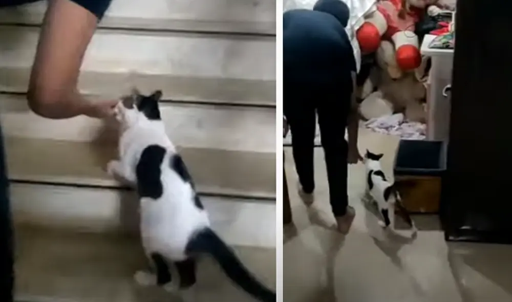 El video ha sido compartido en el canal ViralHog. Foto: captura de Facebook