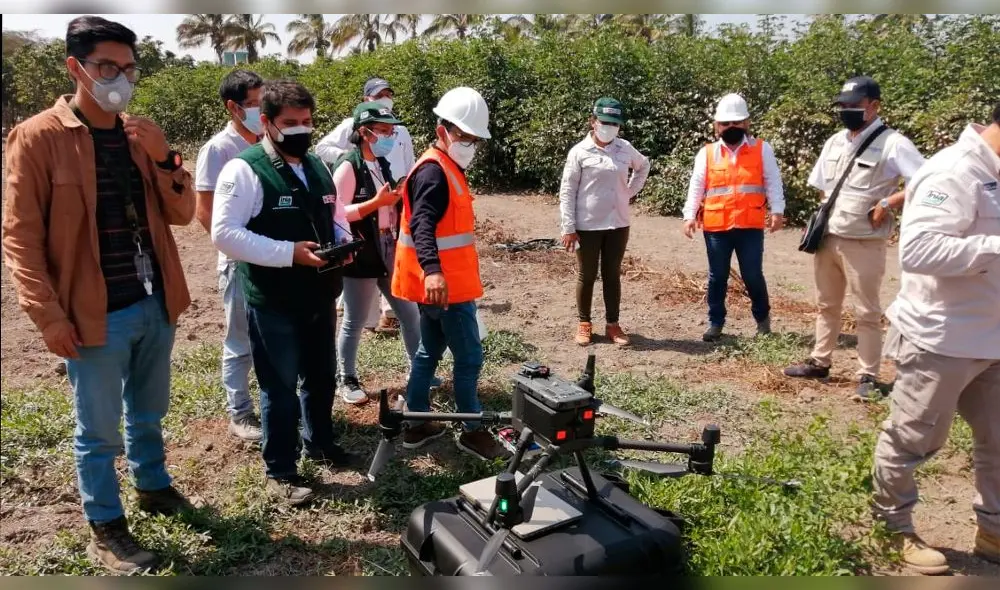 Midagri utilizará drones para monitorear cultivos en San Martín y Lambayeque. Foto: Midagri