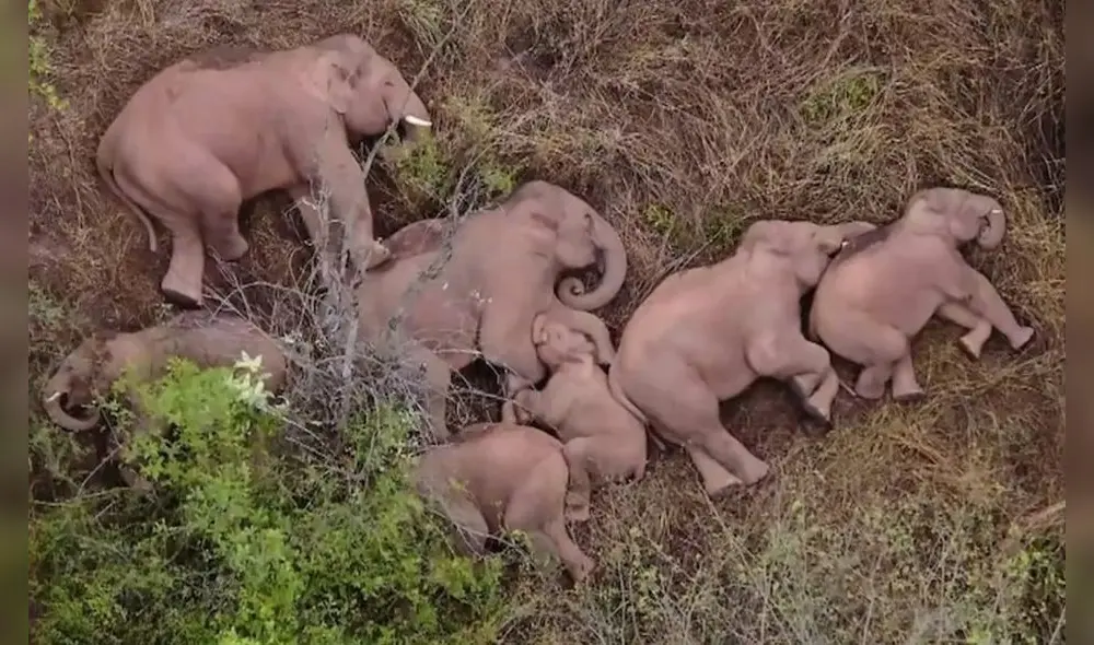 Las autoridades evacuaron a más de 2.000 residentes locales. Foto: captura de Instagram