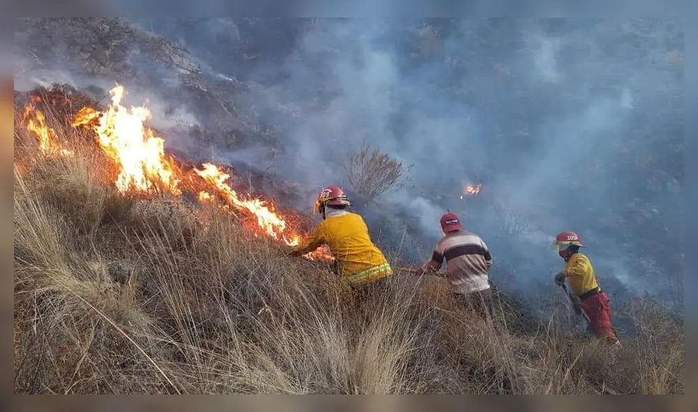 Dificultades. Falta de accesos a ciertas zonas de cerro Curi obstaculizan trabajo de bomberos.