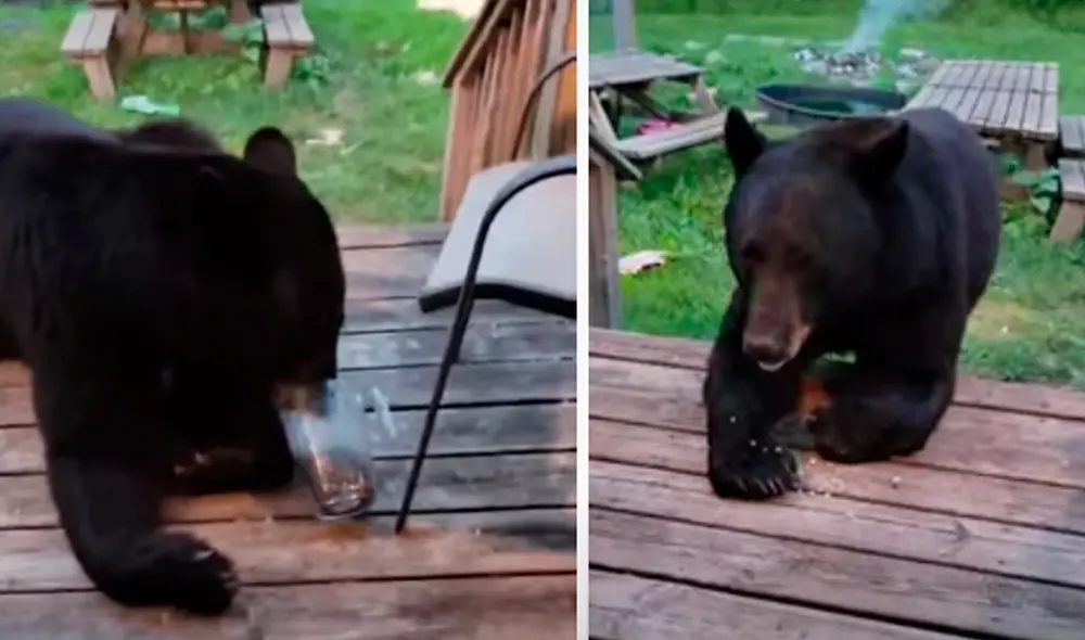 El video viral ha sido compartido en la página ViralHog. Foto: captura de Facebook
