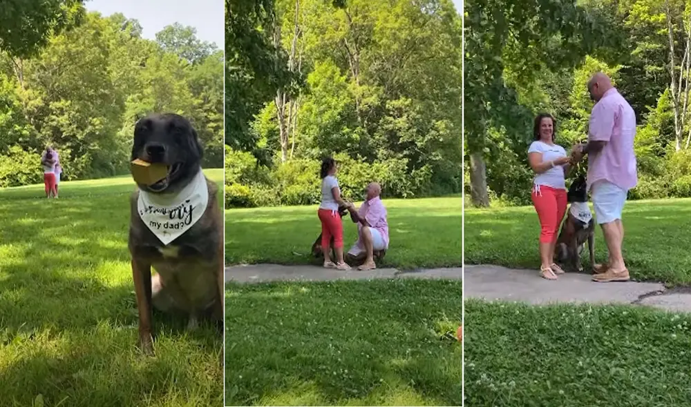 Miles de usuarios en las redes sociales quedaron conmovidos con esta tierna escena. Foto: captura de YouTube