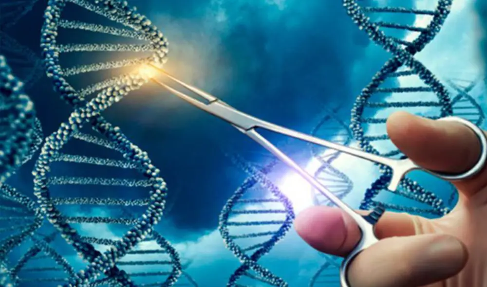 El Premio Nobel de Química 2020 fue destinado a dos científicas por un hallazgo en 2012: las tijeras genéticas, capaces de modificar el ADN de animales, plantas y microorganismos. Foto: Universidad de Tel Aviv.