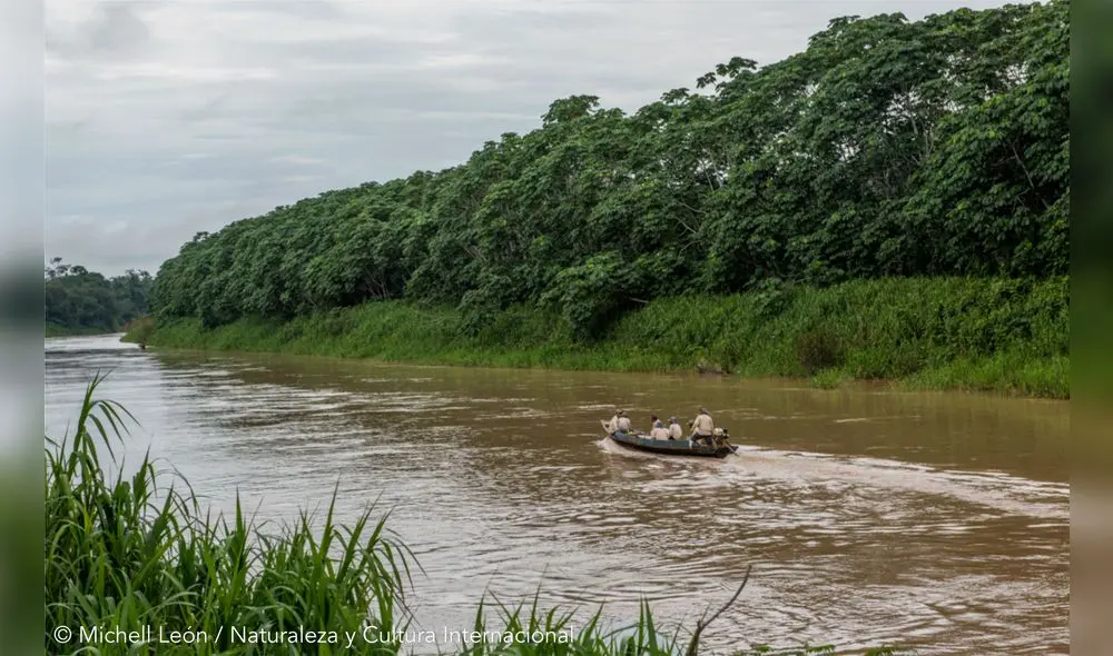 Con la protección de este establecimiento, miles de especies estarán a salvo. Foto: NCI/Michel León Con la protección de este establecimiento, miles de especies estarán a salvo. Foto: NCI/Michel León