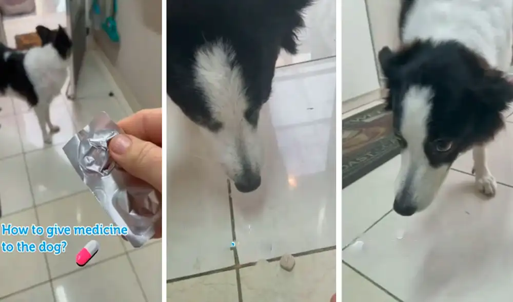 Un chico fingió que había botado un trozo de carne al suelo para llamar la atención de su mascota; sin embargo, en realidad era su medicina. Foto: captura de Facebook