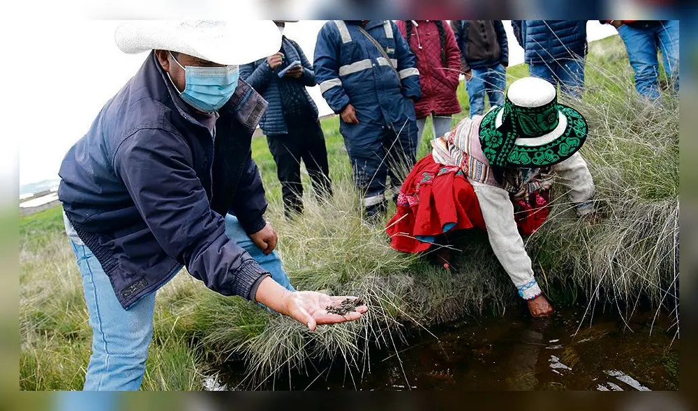 Estudio revelaría viviendas y áreas de cultivo impactadas.