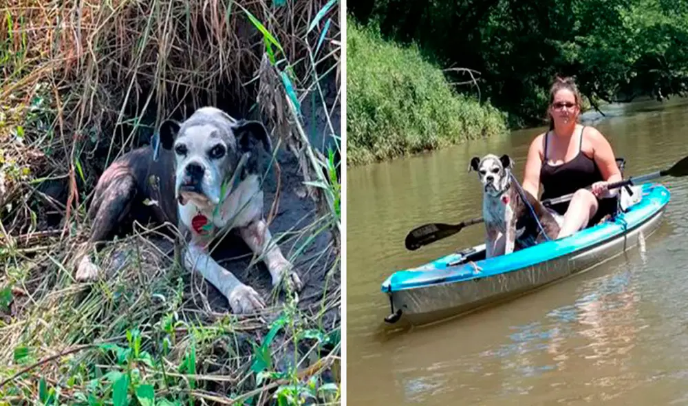 Unas jóvenes detuvieron su paseo cuando notaron la presencia de una perrita. Esta llevaba seis días lejos de su verdadero hogar. Foto: captura de YouTube Unas jóvenes detuvieron su paseo cuando notaron la presencia de una perrita. Esta llevaba seis días lejos de su verdadero hogar. Foto: captura de YouTube