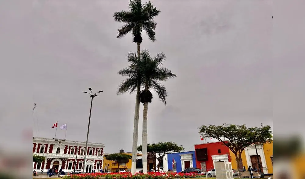 En la plaza de armas de Trujillo se yergue una centenaria palmera. Foto: MPT