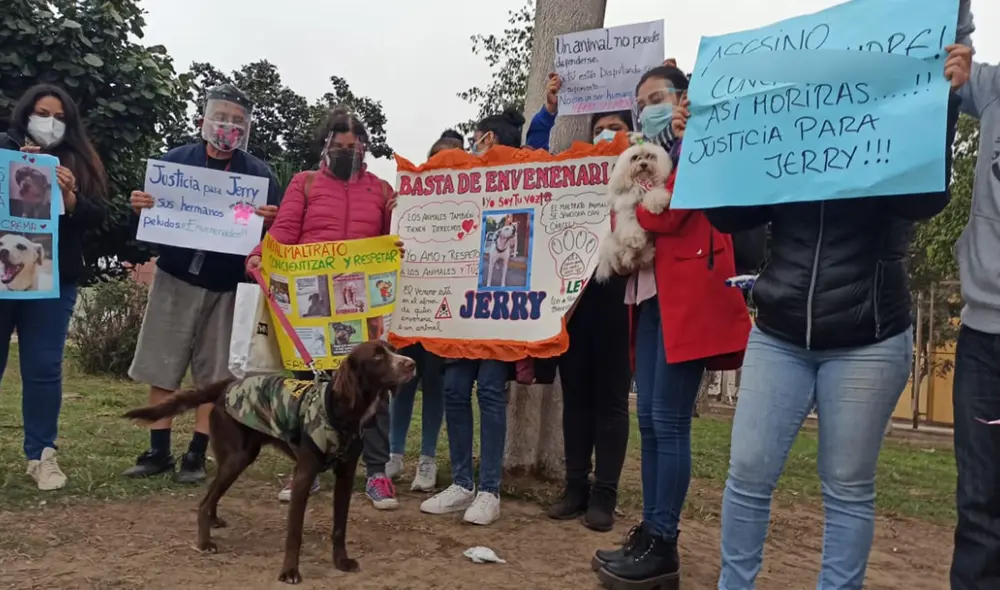 Moradores salieron a las calles a protestar por constantes atentados contra mascotas. Foto: César Zorrilla/URPI-LR Moradores salieron a las calles a protestar por constantes atentados contra mascotas. Foto: César Zorrilla/URPI-LR