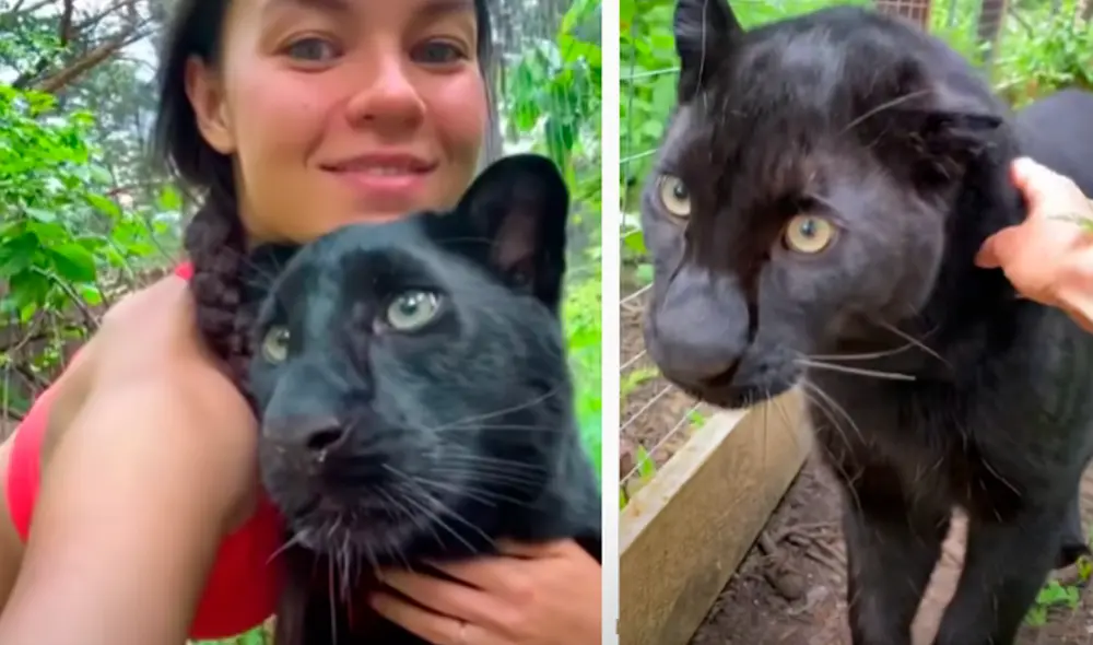 El video viral ha sido compartido en el canal Luna_the_pantera. Foto: captura de YouTube