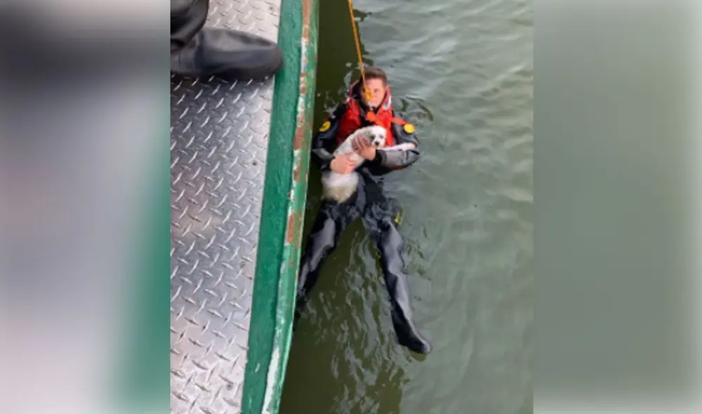 Facebook viral: salvan a hombre que saltó al agua para rescatar a su ...